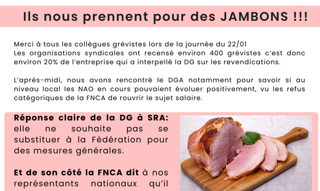 Ils nous prennent pour des JAMBONS