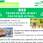 RSE : faites ce que je dis !